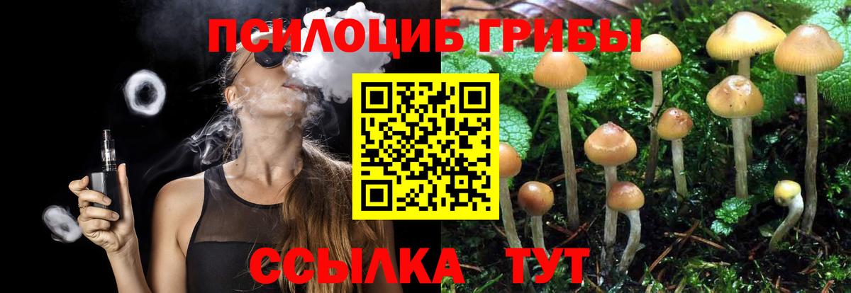 A PVP Ростов-на-Дону
